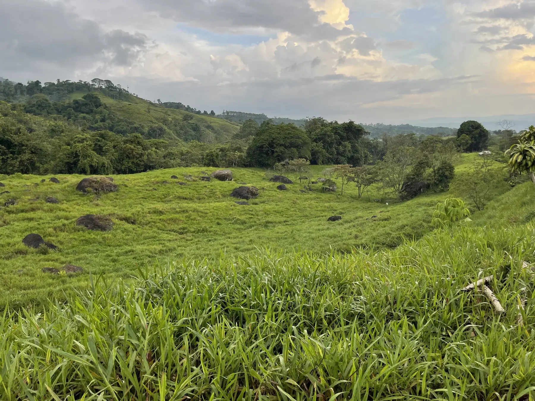Evening light across BuenaVida’s meadow and forested hills