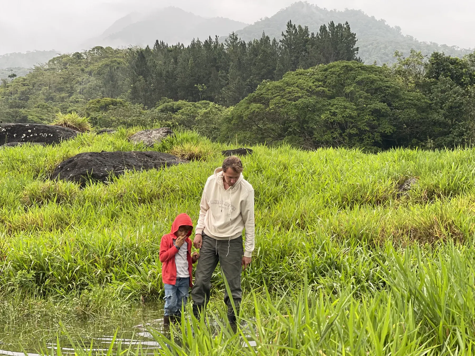 A family walk through the tall grass, with misty forested hills behind