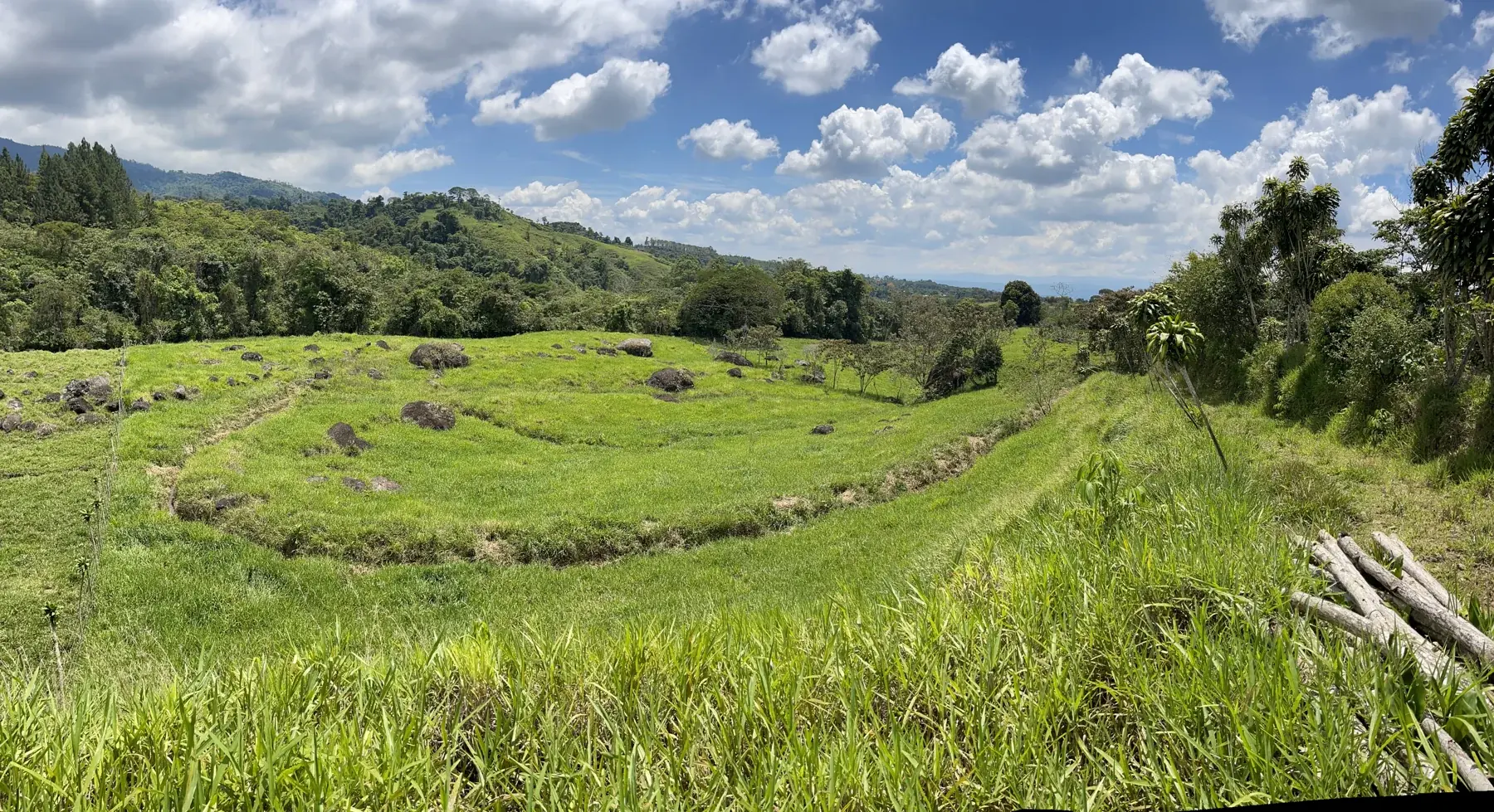 BuenaVida’s open meadow, scattered stones, and forested Costa Rican hills