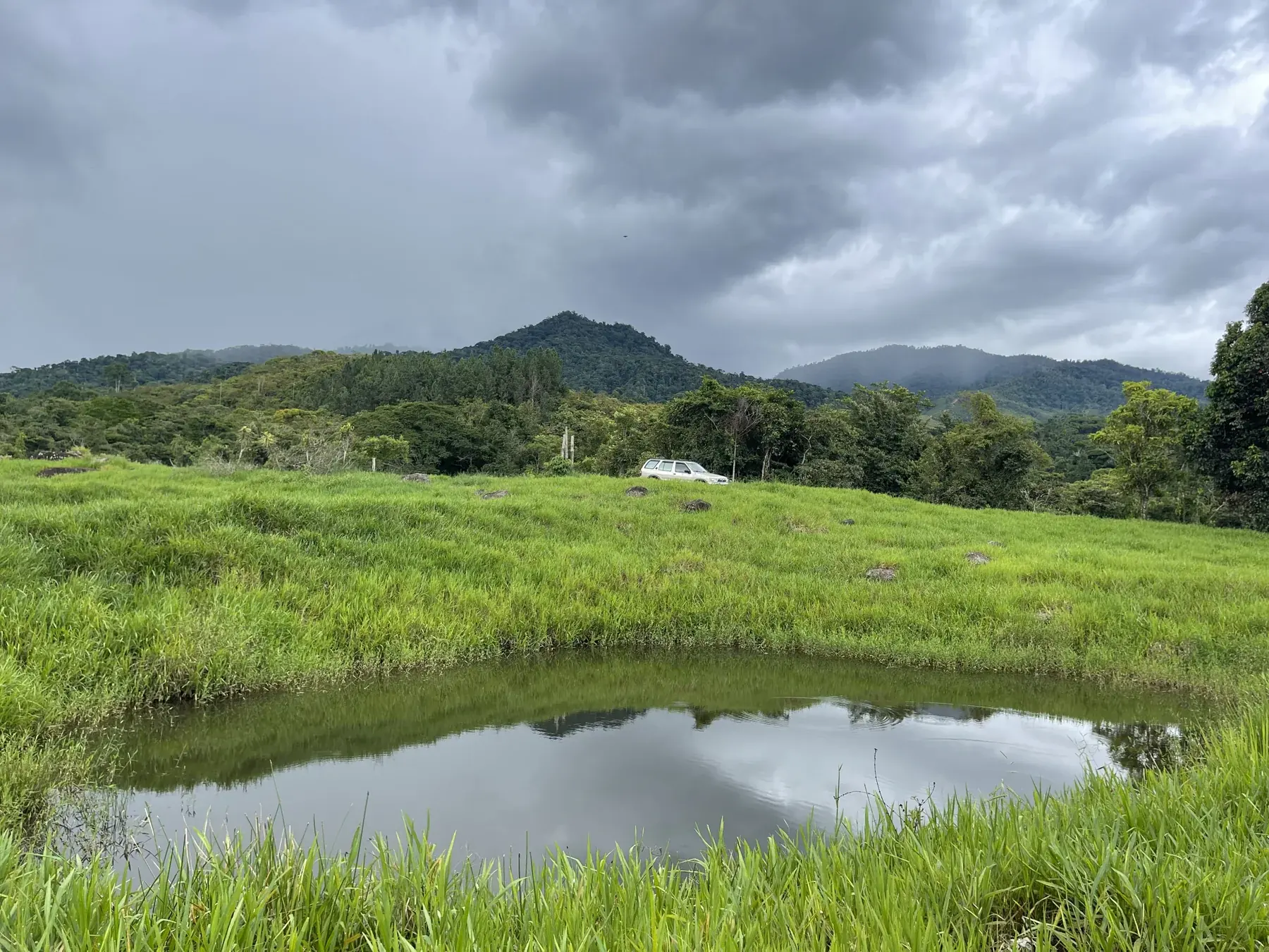 A pond reflecting clouds in the middle of the grassy landscape