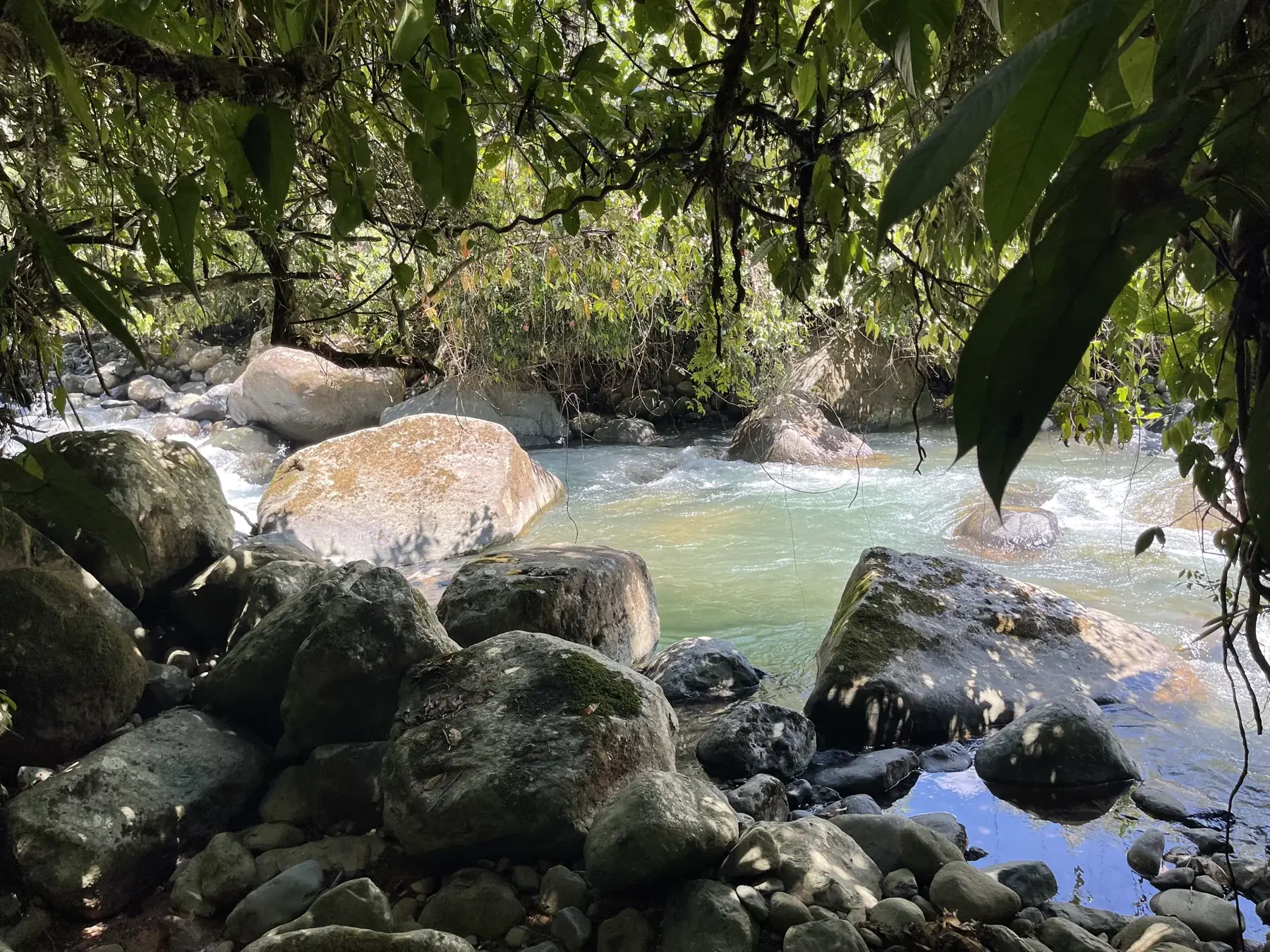 The Peñas Blancas flowing through boulders and forest shade