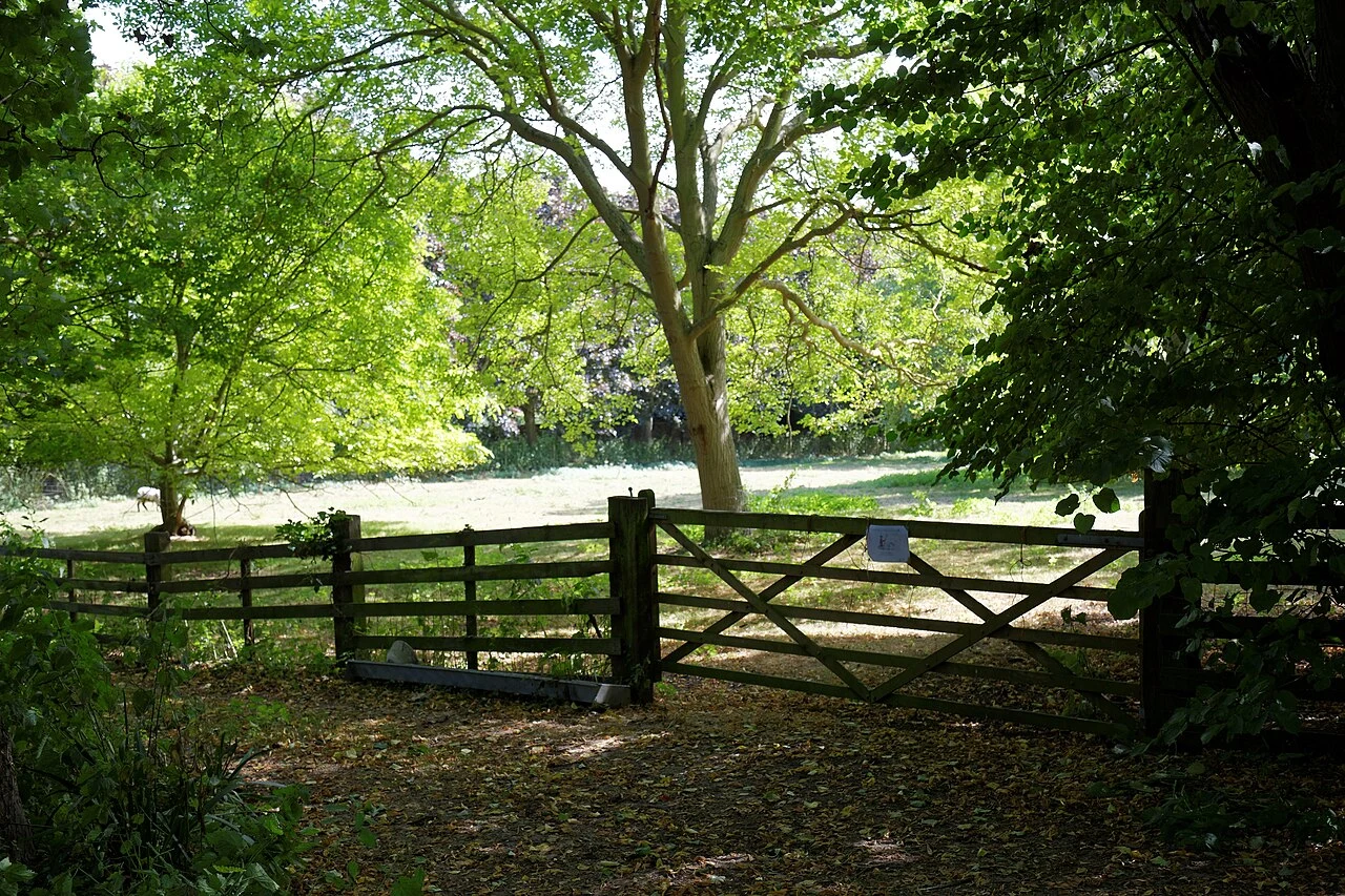 A wooden gate and fence beneath a large tree