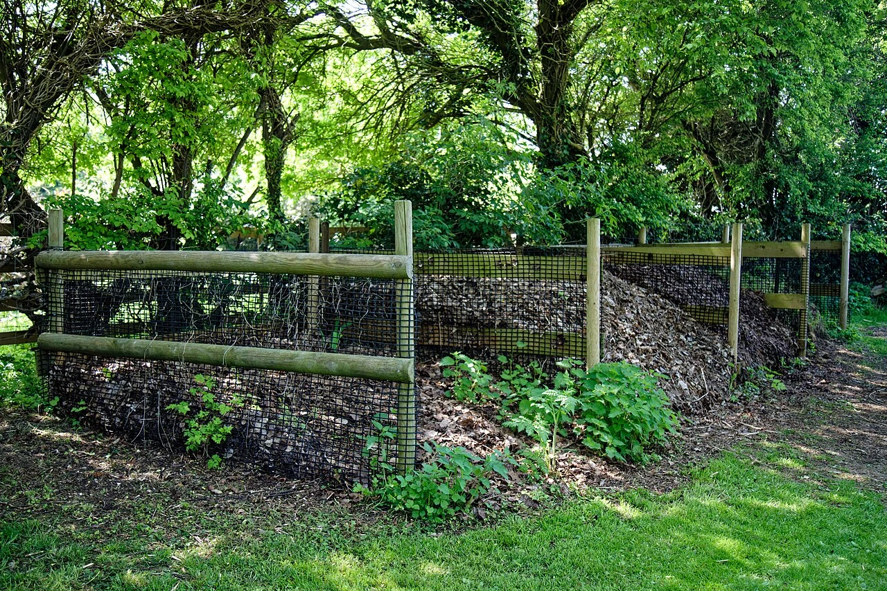 Wooden compost enclosures beneath trees in a garden
