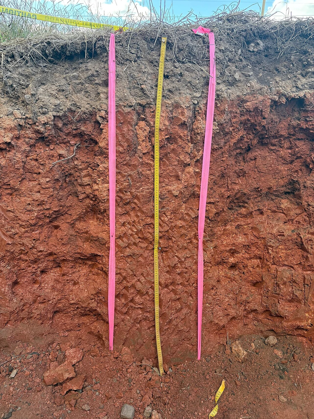An exposed reddish soil profile with colored vertical reference markers