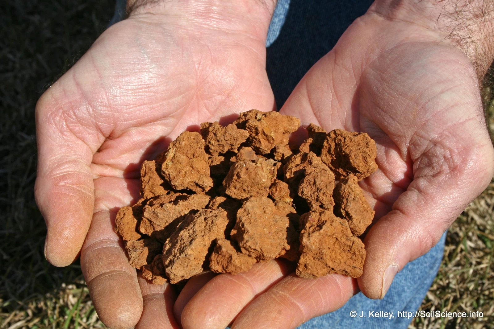 Hands holding reddish-brown soil broken into visible aggregates