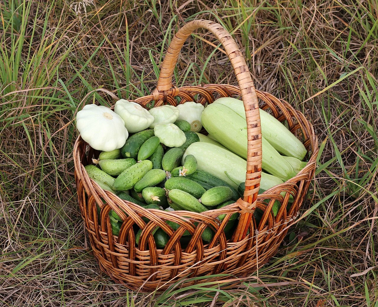 A basket holding cucumbers and pale green squash on grass